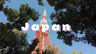 🗼Tokyo Japan vlog | Tokyo Tower, Shibuya Sky, Anime Figures, Shopping, Chazuke, StudioGhibli Museum