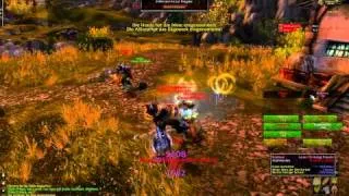 Let's play World of Warcraft Part 374- Krieger + Paladin leveling 1-85 german [ together ] WoW