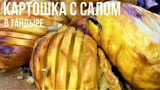 ШАШЛЫК ИЗ КАРТОШКИ С САЛОМ В ТАНДЫРЕ,С ХРУСТОМ СНАРУЖИ И ПЮРЕШКОЙ ВНУТРИ, БОМБА ПРОСТО.