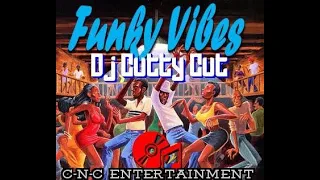 Dj Cutty Cut / FEVER FUNK / Mix Show