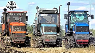 Гусеничные тракторы ВТ-90, ВТГ-90 и АГРОМАШ-90ТГ пашут поле вместе! ДТ-75 жив!