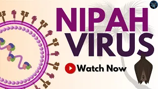 Nipah Virus (NiV) | Structure,  Pathogenesis, Transmission, and Prevention | Virology Course