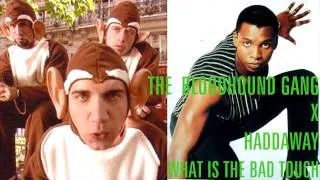 The Bloodhound Gang x Haddaway - What is the Bad Touch