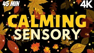 4k- Calming Sensory Music Doze Into Falling Leaves Soothing Visuals