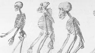 Old Age: Mysterious 'Ghost Population' DNA Of Ancient Humans Discovered