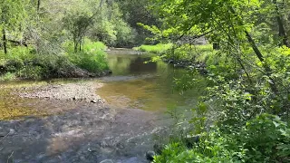 Nine Mile Creek in Bloomington Minnesota