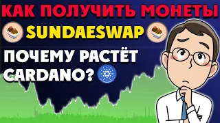 Почему растёт Cardano? DEX биржа на ADA | Как получить монеты Sundaeswap?