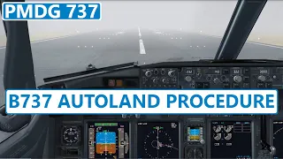 PMDG 737 Autoland Tutorial In Detail|Boeing 737 ILS Cat iii  Approach [1080HD]
