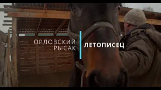 Жеребец Летописец