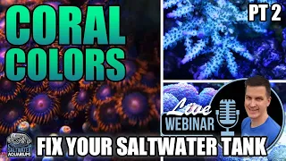 Saltwater CORAL Colors - Fix Your Problem Saltwater Tank