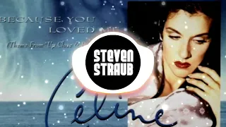 Celine Dion - Because You Loved Me (Steven Straub Bootleg)