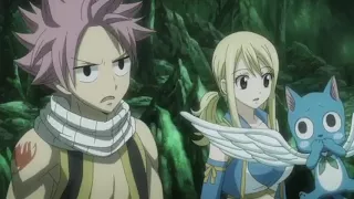 Shape of you nalu amv