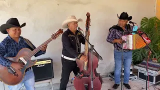 los Nuevos Gallitos de San Miguel de Allende Guanajuato Polka La potranca