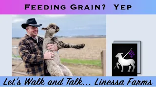 Feeding Lambs and Goat Kids Grain?  Linessa Farm's Spring Walk and Talk