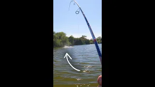 This is why I fish these baits in dirty water (why you should too!)