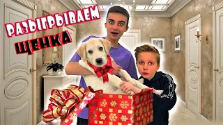 КУПИЛИ ЩЕНКА ! КОМУ ОН ДОСТАНЕТСЯ ? СКЕТЧ на CRAZY Богдаш