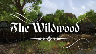 LOTRO | The Wildwood | Daytime