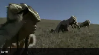 Buffalo Jump