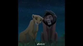 🤩🥰💖💝😍 kovu e kiara