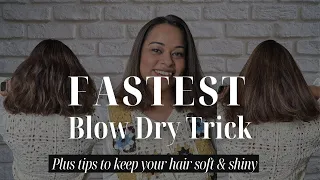 Fastest Blow Dry Trick that never fails. Plus hair care tips and routine. #blowdryhair #tips