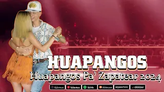 Huapangos Para Zapatear 2024 ~ Puros Huapangos Para Bailar Mix 2024 ~ Mix de Huapangos 2024