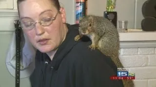 Woman upset she has to give up pet squirrel