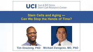 Stem Cells and Aging - Can we stop the hands of time?