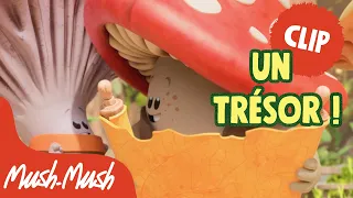 Mush-Mush Officiel |🍄 UN TRÉSOR! 🗺️| CLIP