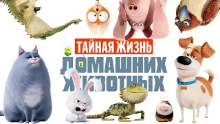 Тайная жизнь домашних животных (The Secret Life of Pets, 2016) - Русский трейлер мультфильма HD