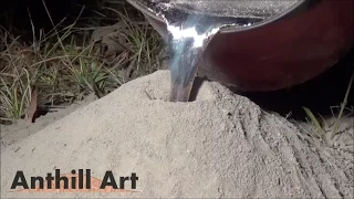 Casting a Fire Ant Colony with Molten Aluminum (Cast #043)