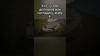 мем про жабу