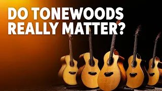 Can You Hear the Difference? Acoustic Guitar Tonewood Showcase