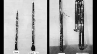 Instruments of the Orchestra-Oboes - Part 3: Listening Examples