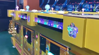 Chinese fish game manufacturer, machine for sale  casino supplies and fishing game machine prices