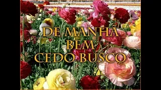 23 DE MANHÃ BEM CEDO BUSCO - HINÁRIO ADVENTISTA