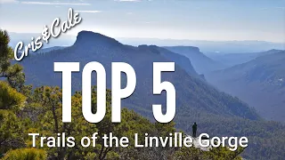 Top 5 Trails of the Linville Gorge | Best Hiking in North Carolina | Pinchin | Hawksbill | Shortoff