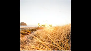 Memo Pro - Sunshine