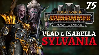 MANNY'S BACK | Immortal Empires - Total War: Warhammer 3 - Vampire Counts - Vlad #75