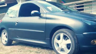 Peugeot 206 envelopado