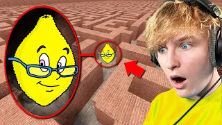 MS. LEMON in a MAZE!! (New Game)