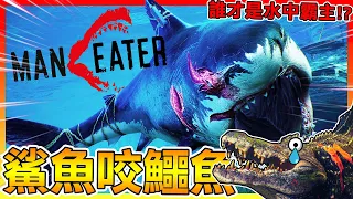 用鯊魚咬鱷魚!!讓牠知道誰才是水中王者😂【Maneater食人鯊】#02 全字幕