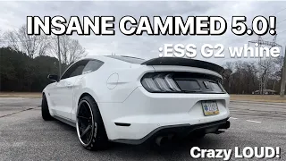 Crazy loud ghost cam ESS G2 Mustang + how to work a rtd+ device. Must watch