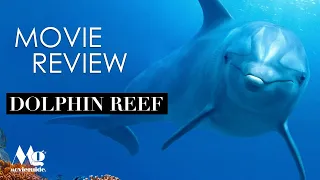 DOLPHIN REEF - Family Sticks Together, Even Under the Waves