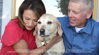 How Hill’s Prescription Diet ONC Care helped these pets with cancer.