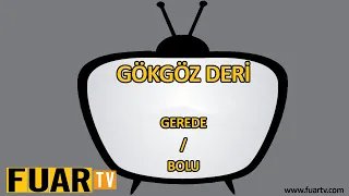 GÖKGÖZ DERİ - GEREDE / BOLU