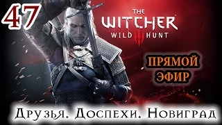 Прохождение The Witcher 3: Wild Hunt: Серия #47 - Друзья. Доспехи. Новиград