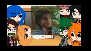 fandoms react to Themeselfes (Harry Potter) pt. 1