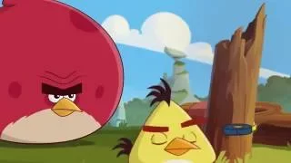 Сердитые птички Angry Birds Toons 3 сезон 8 серия Фиксируйте его все серии подряд