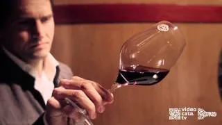 Дегустация вина ALTANZA Reserva Especial DOC Rioja