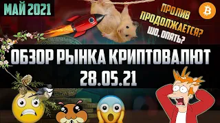 Обзор рынка криптовалют 28.05.21. Май 2021. Биткоин в откате - на рынке у хомяков снова паника!